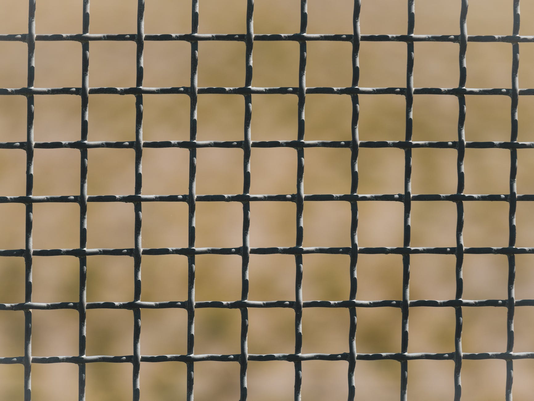 close up of cage